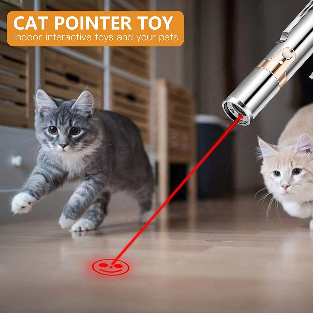 FYNIGO Cat Laser Pointer Toy Rechargeable,Interactive Toy for Cat Kitten Dog with a Mouse Toy,Silver