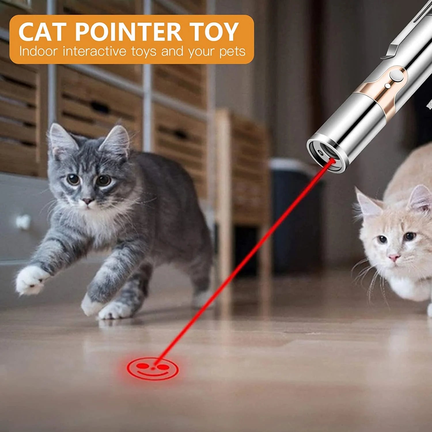 FYNIGO Cat Laser Pointer Toy Rechargeable,Interactive Toy for Cat Kitten Dog with a Mouse Toy,Silver