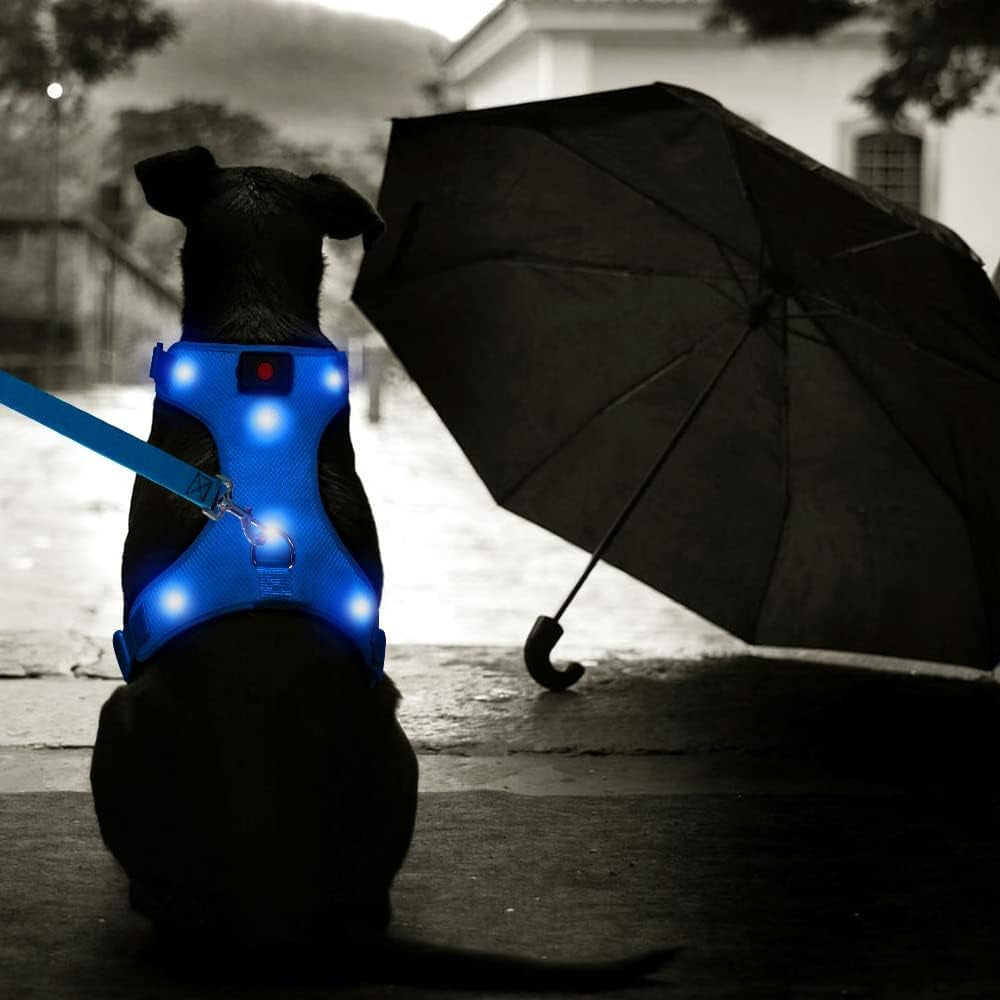 Flashseen LED Dog Harness, Lighted up USB Rechargeable Pet Harness, Illuminated Reflective Glowing Dog Vest Adjustable Soft Padded No-Pull Suit for Small, Medium, Large Dogs (Blue, S)