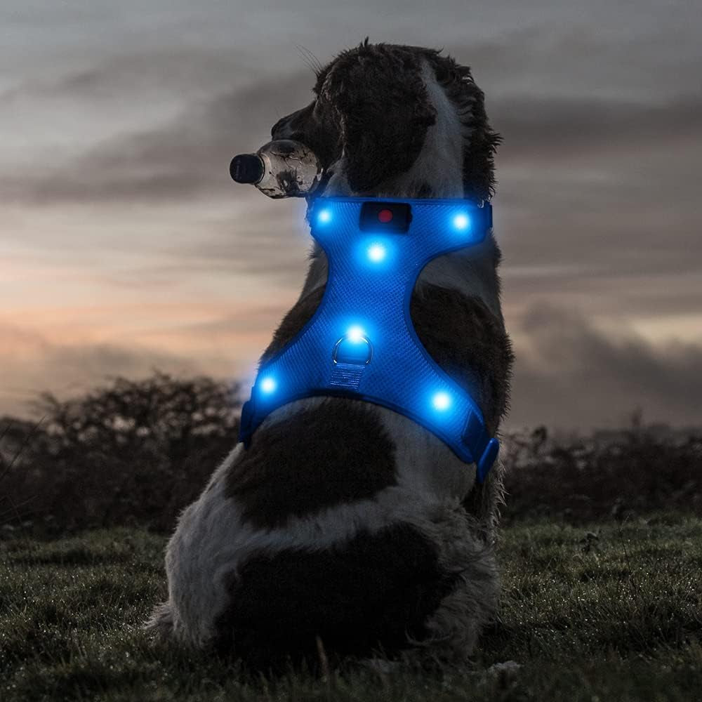 Flashseen LED Dog Harness, Lighted up USB Rechargeable Pet Harness, Illuminated Reflective Glowing Dog Vest Adjustable Soft Padded No-Pull Suit for Small, Medium, Large Dogs (Blue, S)