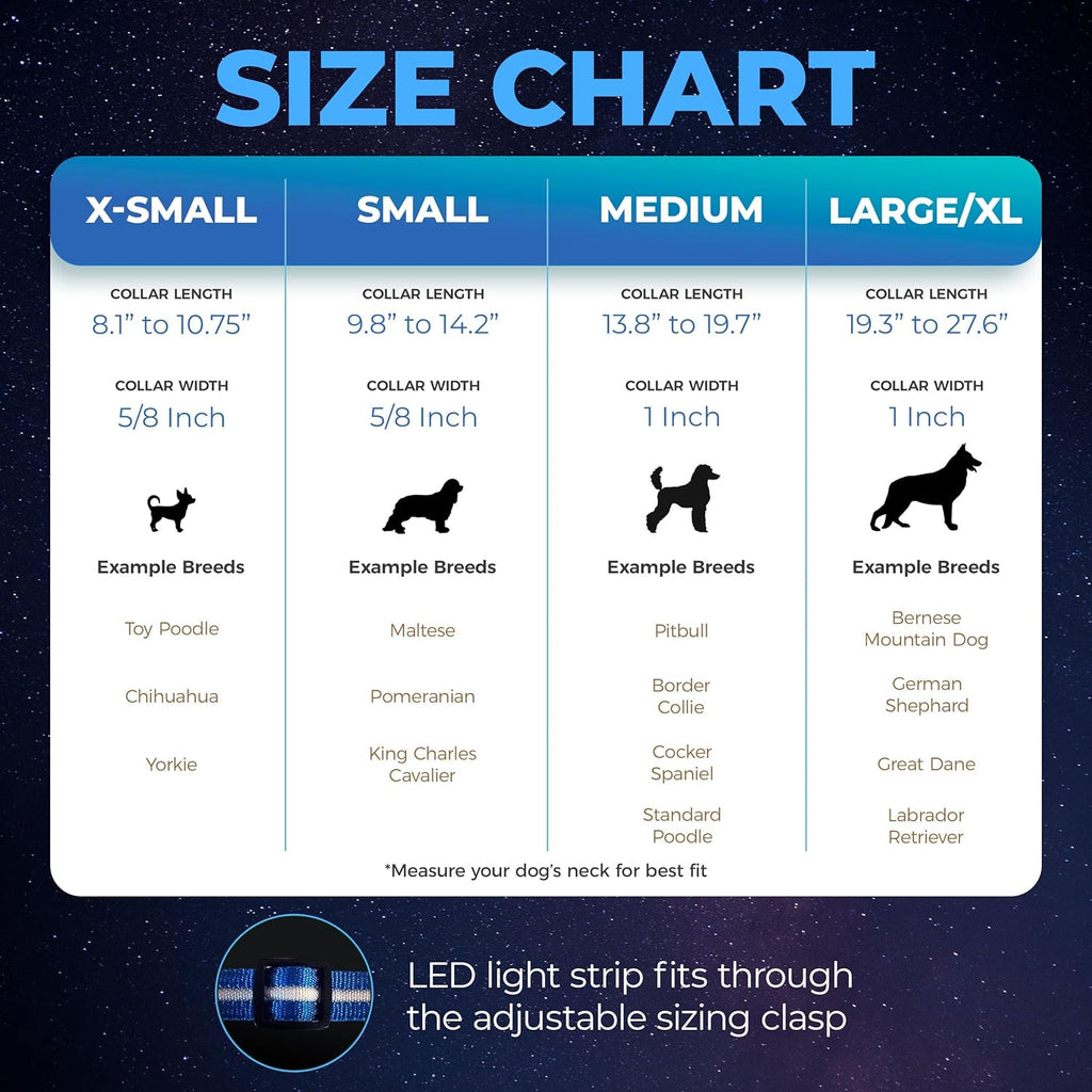 Blazin Light up Dog Collar - the Original LED Dog Collar - USB Rechargeable - Waterproof - 1,000 Feet of Visibility - Dog Collar Light for Small, Medium, Large Dogs - USA Brand