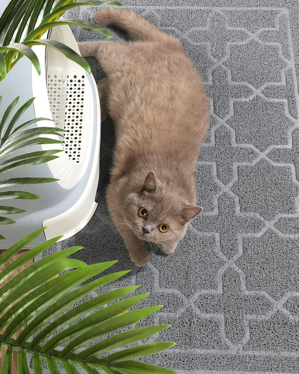 Yimobra Cat Litter Mat, 35.4"X23.6" Litter Box Mat with Litter Lock Mesh, Soft Cat Litter Mat Litter Trapping Mat, Easy to Clean, Non-Slip, Water Resistant, Litter Free Floors, Dark Grey
