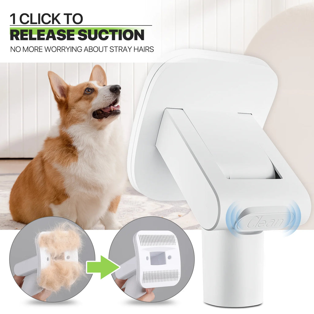 Magshion Pet Grooming Kit & Vacuum Suction 99% Pet Hair, Dog Grooming Kit with 6 Professional Grooming Shedding Tools for Dogs Cats and Other Animals, Black