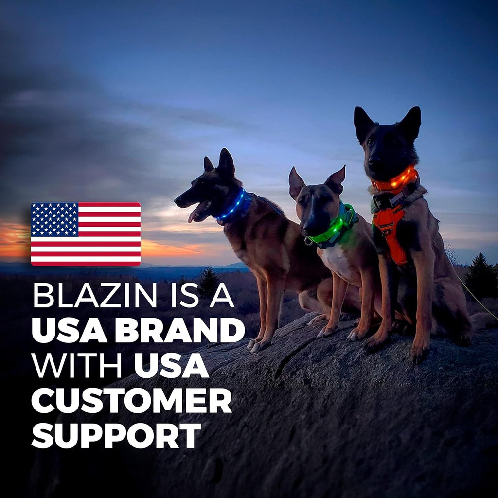 Blazin Light up Dog Collar - the Original LED Dog Collar - USB Rechargeable - Waterproof - 1,000 Feet of Visibility - Dog Collar Light for Small, Medium, Large Dogs - USA Brand