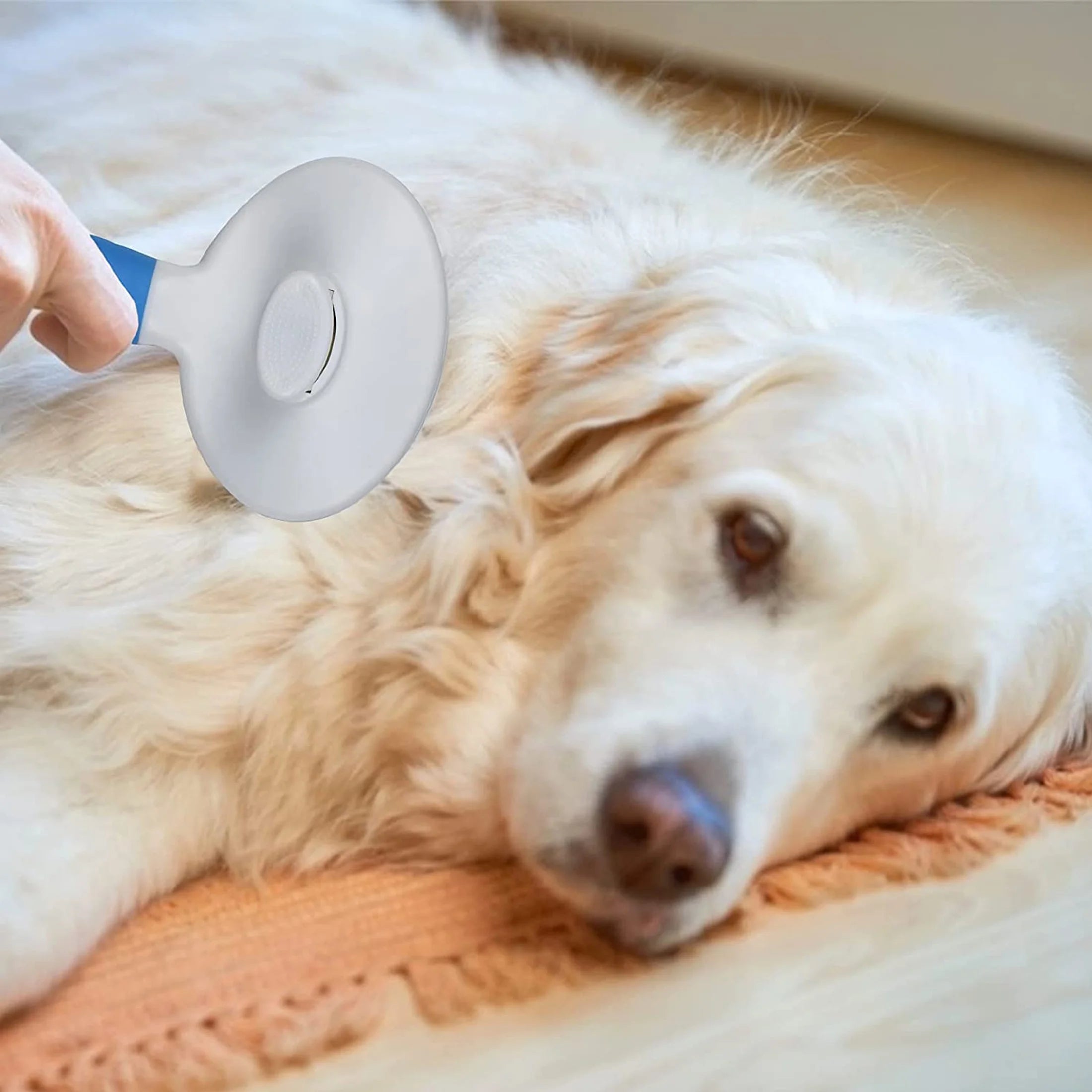 Skyauks Cat and Dog Brush, Self Cleaning Deshedding Tool for Undercoat, Mats, Knots, Flakes - All Hair Lengths