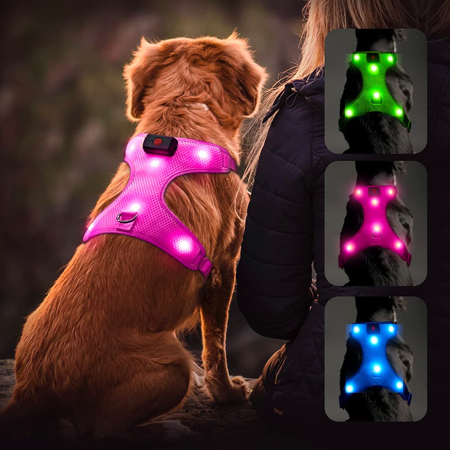 Flashseen LED Dog Harness, Lighted up USB Rechargeable Pet Harness, Illuminated Reflective Glowing Dog Vest Adjustable Soft Padded No-Pull Suit for Small, Medium, Large Dogs (Blue, S)