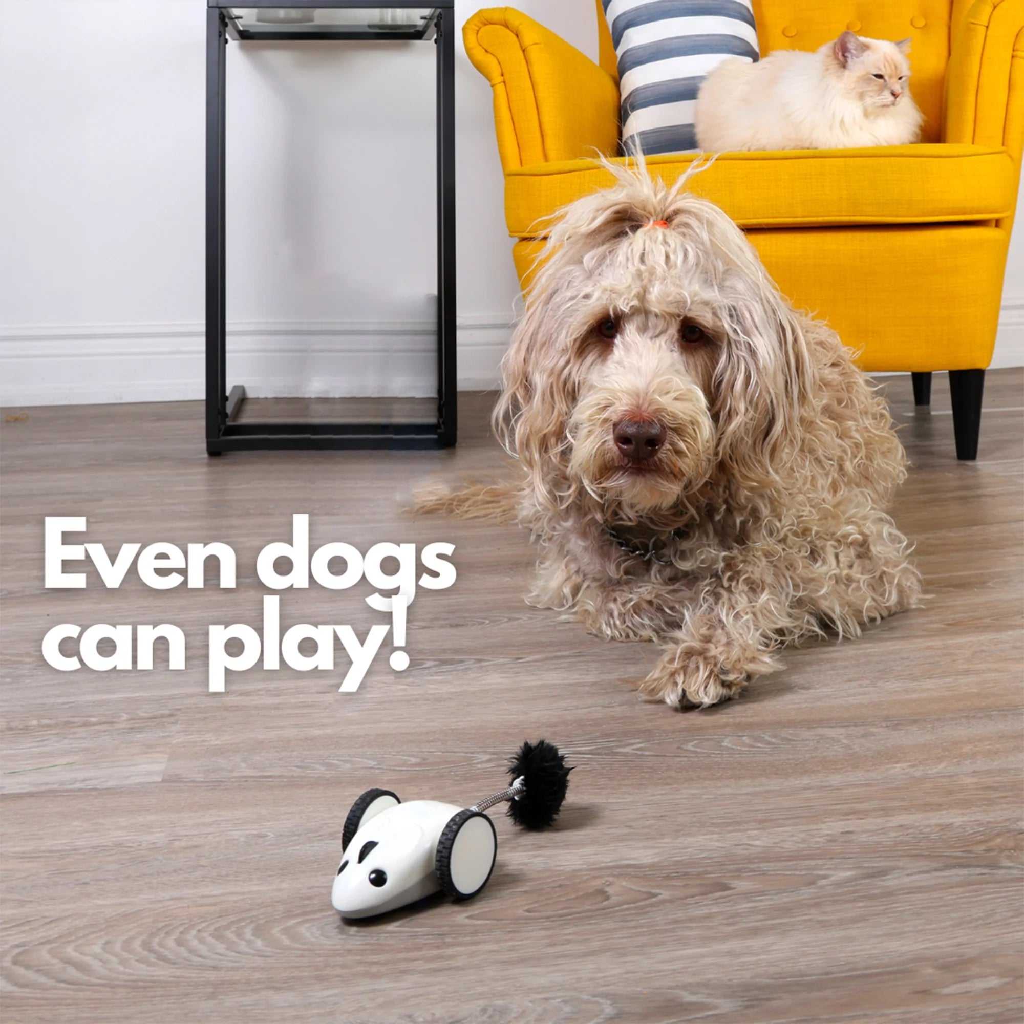 Instachew Purechase Smart Cat Toy, Interactive Automatic Mouse Shaped Toy for Pets, App Enabled with Adjustable Speed, Flip Modes, Replaceable Plush Tail and USB Charging for Kittens and Dogs