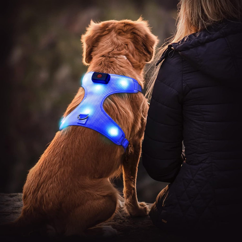 Flashseen LED Dog Harness, Lighted up USB Rechargeable Pet Harness, Illuminated Reflective Glowing Dog Vest Adjustable Soft Padded No-Pull Suit for Small, Medium, Large Dogs (Blue, S)