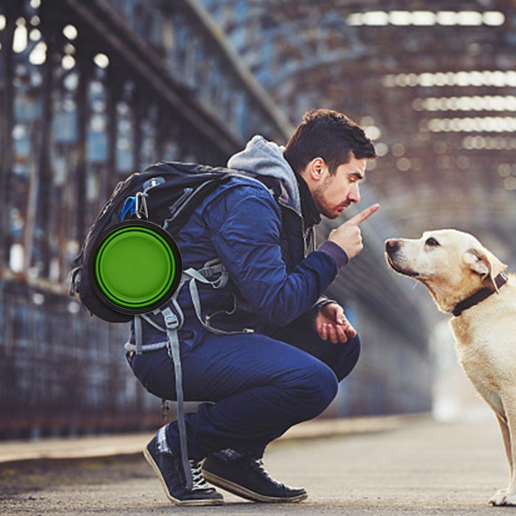 Guardians Large Collapsible Dog Bowls, 34Oz Travel Water Food Bowls Portable Foldable Collapse Dishes with Carabiner Clip, 2 Pack (Green+Blue)