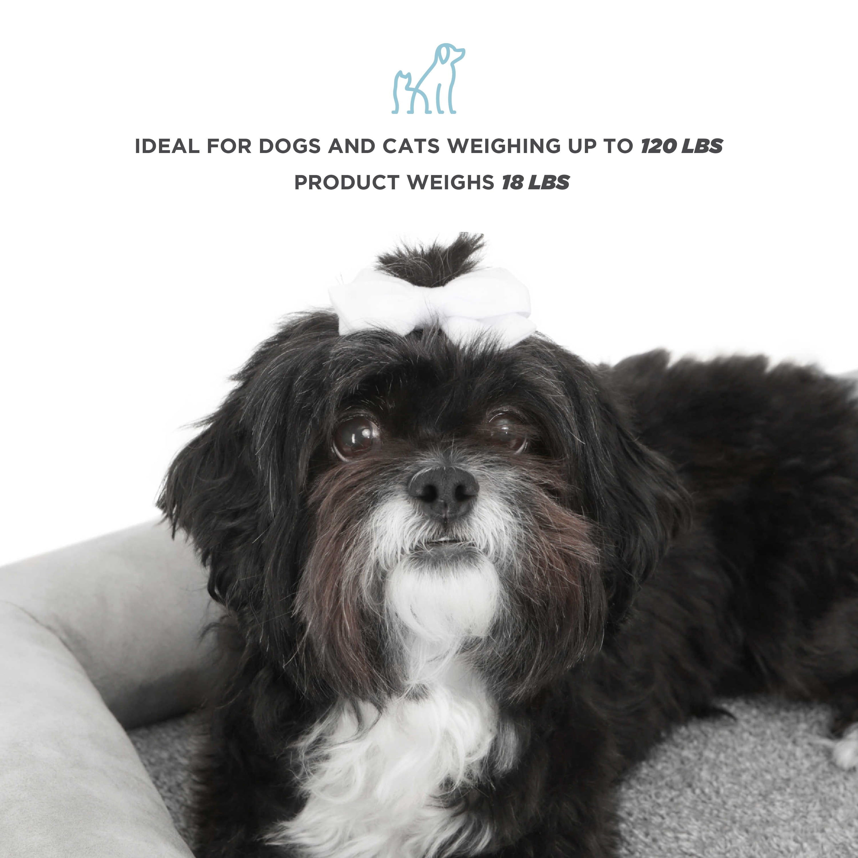 Tailzzz Asher Small Wooden Elevated Pet Bed with Mattress, Greenguard Gold Certified